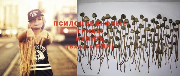 спиды Балахна