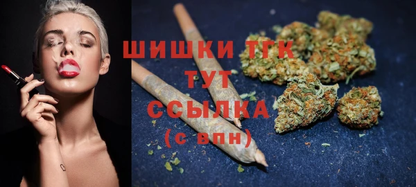 спайс Богданович