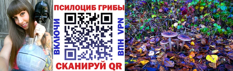 Галлюциногенные грибы мицелий  наркошоп  Верхнеуральск 
